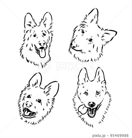 犬 モノクロ 白黒 子犬のイラスト素材