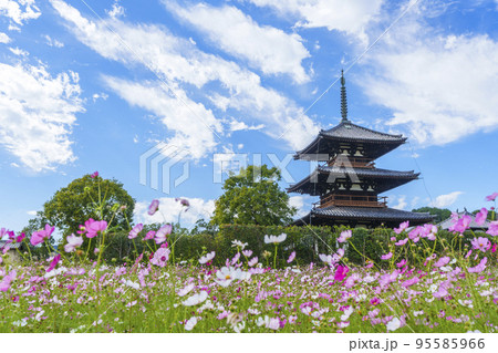 法起寺の写真素材 - PIXTA