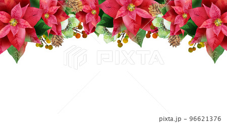 透明水彩画原画　クリスマス　聖夜　ポインセチア 透明水彩画原画 クリスマス 聖夜 ポインセチア
