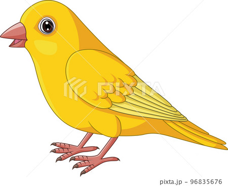鳥 カナリア かわいい イラストのイラスト素材