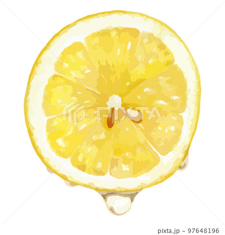 水彩画　limone 不透明水彩絵具〈ガッシュ〉 15ml G526 レモン イエロー