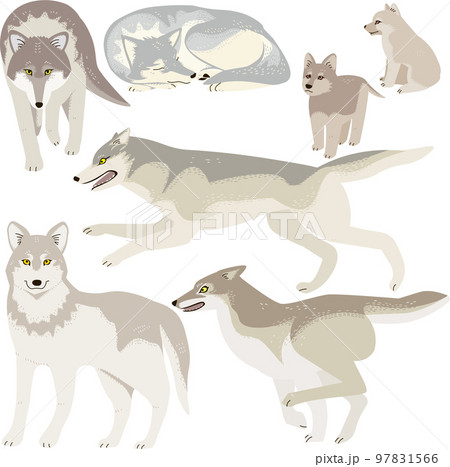 オオカミ 狼 のイラスト素材集 ピクスタ