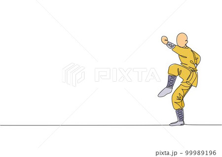 Premium Photo | A cute karate tiger kid with karate cloths white background