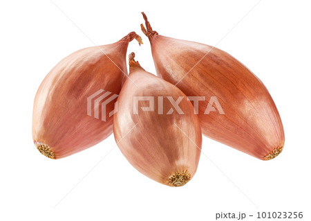 Onions being grated – License Images – 12337962 ❘ StockFood