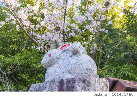 ウサギの石像の写真素材 - PIXTA