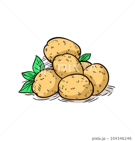 Cute potato character - Stock Illustration [75074534] - PIXTA