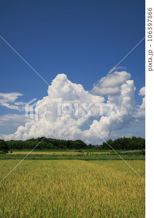 夏の雲の写真素材 - PIXTA
