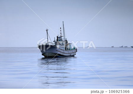 Yellowfin Tuna Aboard a Fishing Yacht after Fishing in the Sea