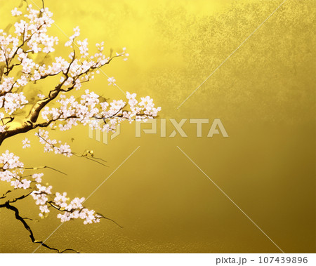 花 桜 金屏風 植物 和 春 日本的の写真素材 - PIXTA