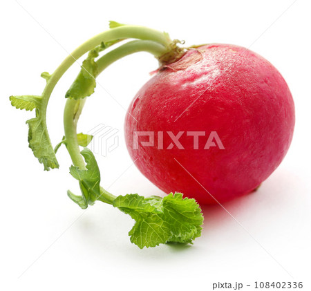 4,800+ Radish Knife Stock Photos, Pictures & Royalty-Free Images