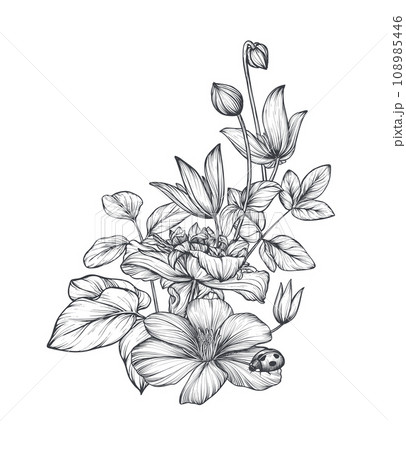 クレマチス 花 植物 モノクロのイラスト素材 - PIXTA