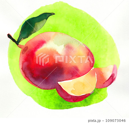 Mango Fruit With Leaves Watercolor Illustration Stock Clipart |  Royalty-Free | FreeImages