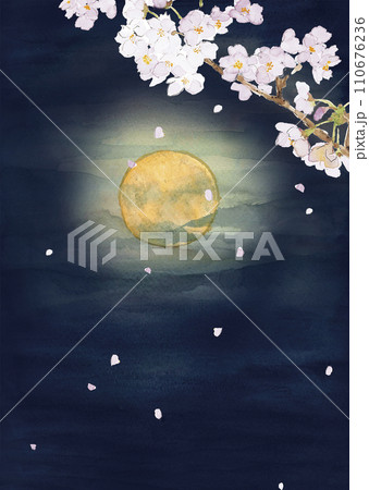 月夜の桜のイラスト素材 - PIXTA