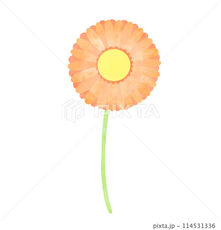 花 ガーベラ 手書き 挿絵のイラスト素材 - PIXTA