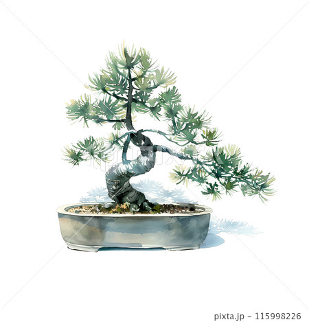 829 盆栽　盆栽鉢　植木鉢　和鉢 829 盆栽盆栽鉢植木鉢和鉢