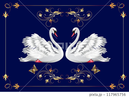 白鳥 白い鳥 二羽の鳥のイラスト素材 - PIXTA