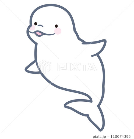 イルカ シロイルカ ベルーガ 動物のイラスト素材 - PIXTA