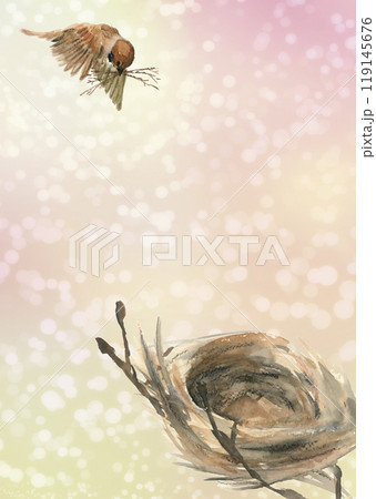 鳥 巣 野鳥 木の枝のイラスト素材 - PIXTA