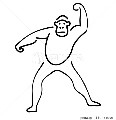 ゴリラ 動物 猿 ポーズの写真素材 - PIXTA