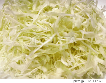 49ページ目 | キャベツの画像素材(108,032点以上の高品質な写真