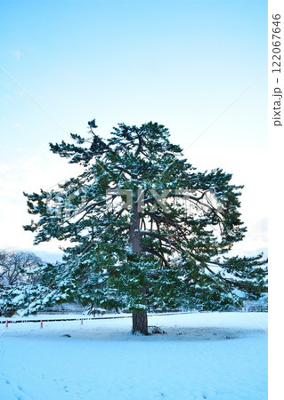 紙本 越後新発田城の雪景色 作者不詳 新発田城 冬 雪 冬景色の写真素材 - PIXTA