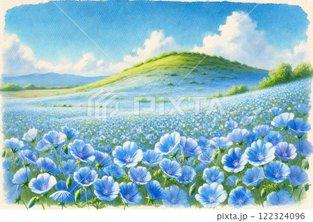 テクスアート 風景 ネモフィラ 青い花 ブルーフラワー 丘 花の絵