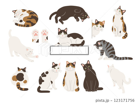 はちわれのイラスト素材 - PIXTA