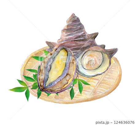 貝のイラスト素材(19,334点以上の高品質なイラスト素材) - PIXTA