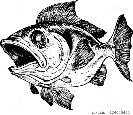 木版画 彫り物 魚 スケッチのイラスト素材 - PIXTA