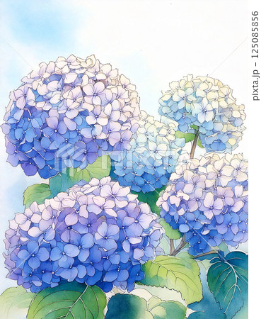 手描きイラスト✢創作水彩原画『見帰りの紫陽花』 手描きイラスト*創作水彩原画『紫陽花の森』