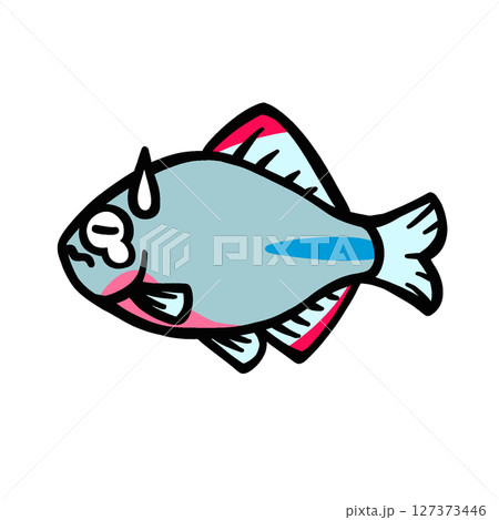 タナゴ イラストのイラスト素材 - PIXTA