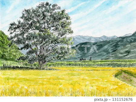 風景 水彩画 田んぼ 田舎のイラスト素材 - PIXTA