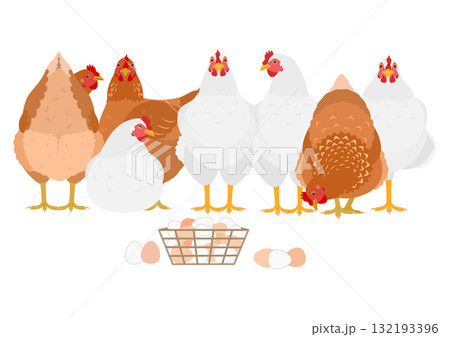 にわとりの画像素材(60,595点以上の高品質な写真・イラスト素材