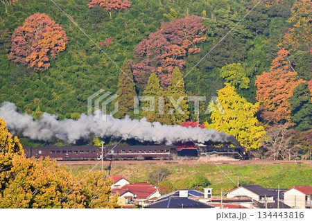 紅葉様 蒸気機関車 SL 紅葉 秋の写真素材 - PIXTA