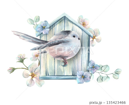 エナガ 水彩画 鳥のイラスト素材 - PIXTA