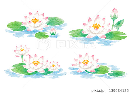 水辺 花のイラスト素材 - PIXTA