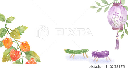 水彩画 鬼灯 花 植物のイラスト素材 - PIXTA